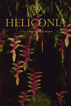 HELICONIA.jpg